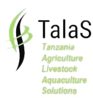 talas solution