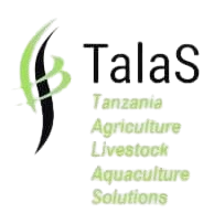 talas solution