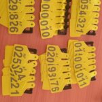 IMG-20260202-WA0001